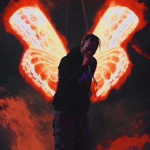 Meet your Posher, Marcell